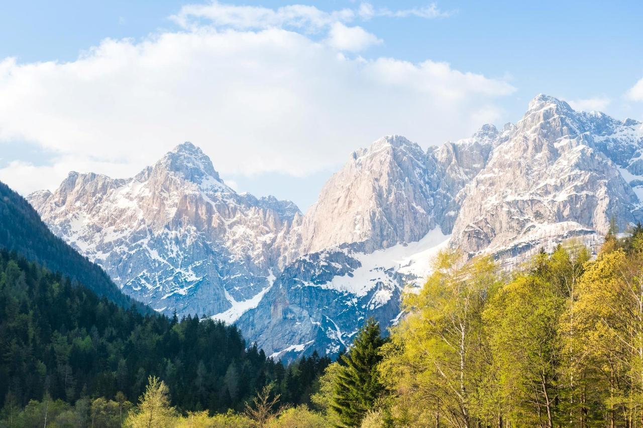 Villa Planina Краньска Гора Экстерьер фото