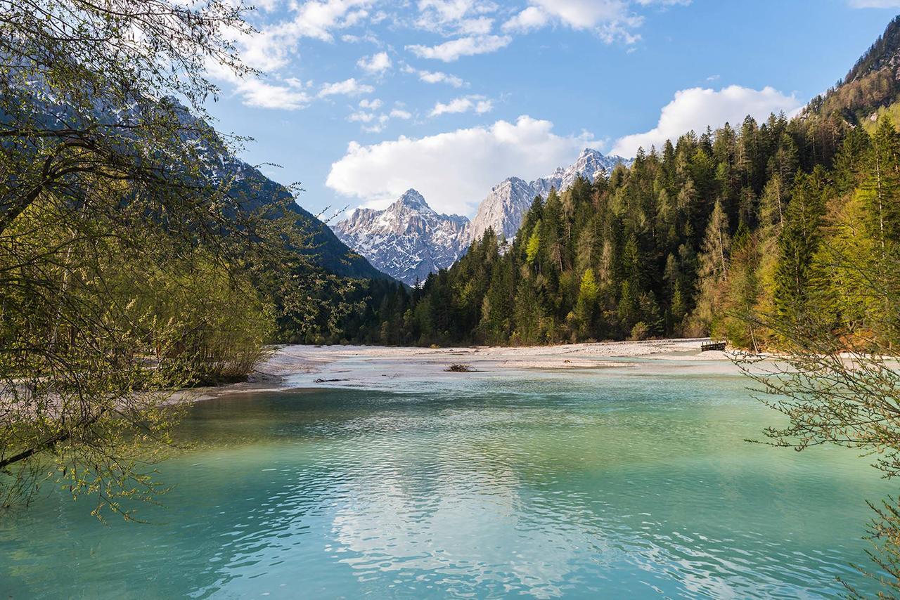 Villa Planina Краньска Гора Экстерьер фото